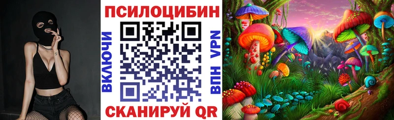 Псилоцибиновые грибы Magic Shrooms Купить где Кандалакша